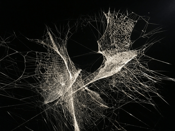 Obra de Tomás Saraceno